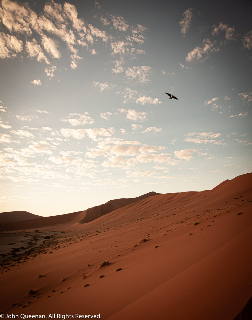 Sossusvlei #13, Big Daddy Dune, Namibia. 2012
